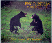 Encounters in the Forest